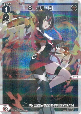 �ڥѥ����WX24-P2-016P �ꡡͷ��� LC-P 