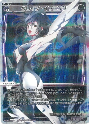 �ڥѥ����WX24-P2-039P ���쥤�֡����֥˥� LC-P 