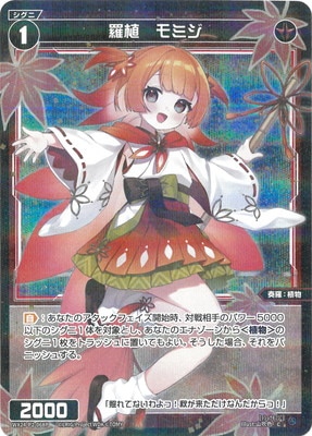 �ڥѥ����WX24-P2-068P �忢����ߥ� C-P 