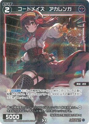 �ڥѥ����WX24-P2-072P �����ɥᥤ����������� C-P 