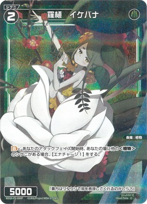 �ڥѥ����WX24-P2-084P �忢�������Х� C-P 