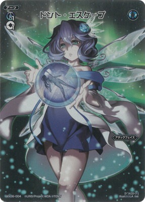 ��WX24-P2��WX06-004 �ɥ�ȡ����������� FAR