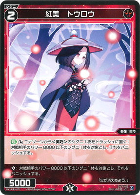 WX24-P3-071 �������ȥ����� C