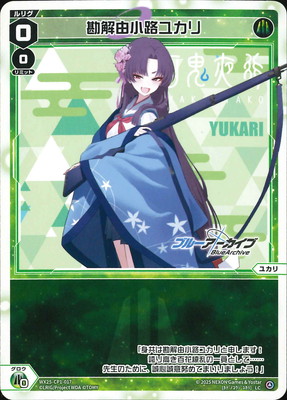 WX25-CP1-017 ����ͳ��ϩ�楫�� LC