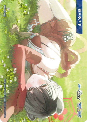 WX25-CD1-TKR07 ĥХ TK