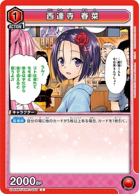 西連寺 春菜