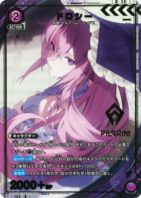 �ڥѥ����PC02BT/NIK-2-029 �ɥ����� PcC��