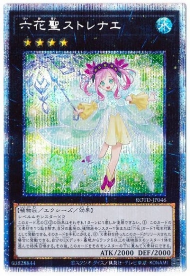 ��11��/01��/ROTD-JP046 ϻ�������ȥ�ʥ��ڥץꥺ�ޥƥ��å���������åȥ쥢��