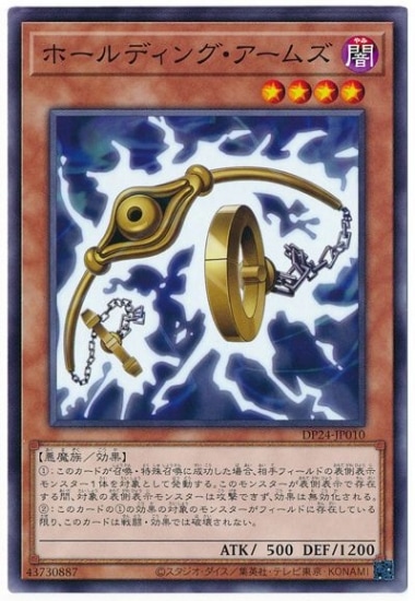 ��11��/DP24-JP010 �ۡ���ǥ��󥰡������ॺ