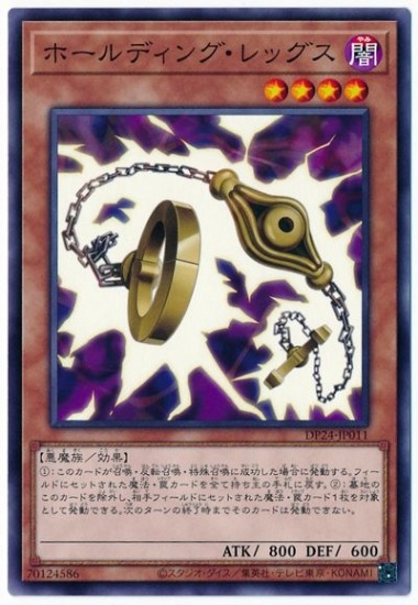 ��11��/DP24-JP011 �ۡ���ǥ��󥰡���å���