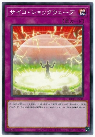 ��11��/DP24-JP045 ������������å���������