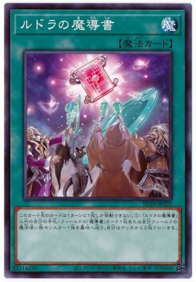 ��11��/SD39-JP025 ��ɥ����Ƴ��