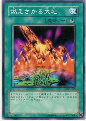 3/DUELIST LEGACY Volume.3/DL3-008ǳ