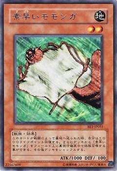 素早いモモンガ