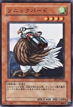 ソニックバード