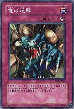 竜の逆鱗