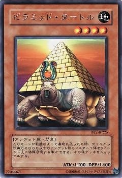 ピラミッド・タートル