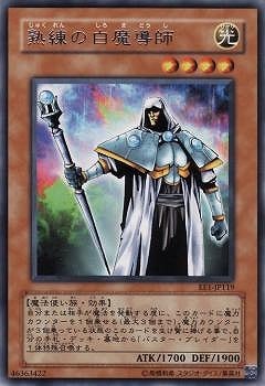 熟練の白魔導師