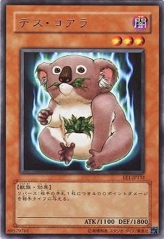 デス・コアラ