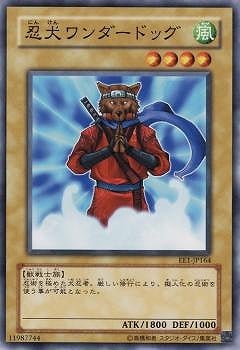 ��4��/EE1-JP164��Ǧ���������ɥå�