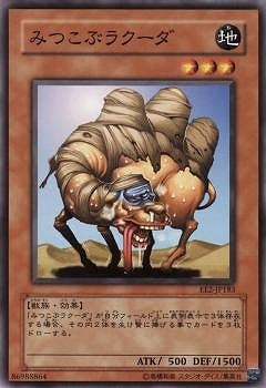 みつこぶラクーダ