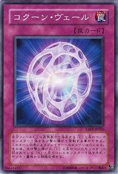 5/5/TAEV-JP065󡦥