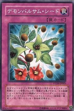 ��5��/7��/PTDN-JP065���ǥ��Х륵�ࡦ������