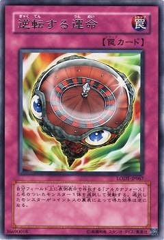 5/8/LODT-JP067ž뱿̿R