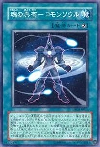 ��5��/DP03-JP023�����ζ�ͭ�ݥ���󥽥���