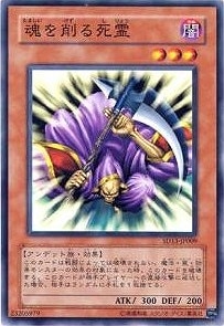 ��5��/SD13-JP009�����������