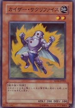 5/SD14-JP003եڥѡ쥢