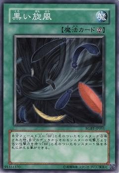 ��6��/4��/RGBT-JP051����������