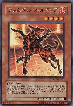 ��6��/5��/ANPR-JP037���ե��٥롦�إ�ɥå���R