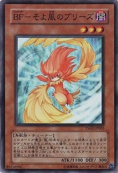 6/8/TSHD-JP003£ơݤΥ֥꡼ڥѡ쥢