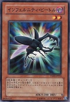 6/8/TSHD-JP014ե˥ƥӡȥ