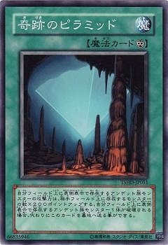 6/8/TSHD-JP051פΥԥߥå