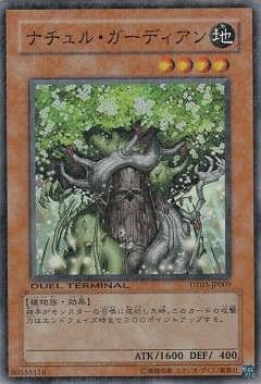 ��6��/DT03-JP009���ʥ���롦�����ǥ�����ڥ����ѡ��쥢��