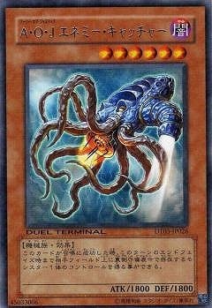 ��6��/DT03-JP026�������ϡ��� ���ͥߡ�������å��㡼��R