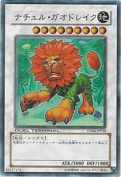 ��6��/DT04-JP038���ʥ���롦�����ɥ쥤���ڥ����ѡ��쥢��