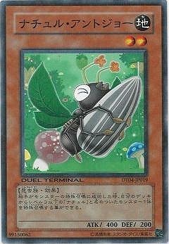 ��6��/DT04-JP019���ʥ���롦����ȥ��硼