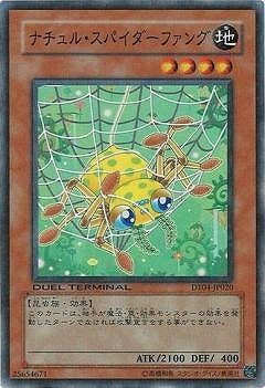 ��6��/DT04-JP020���ʥ���롦���ѥ������ե���