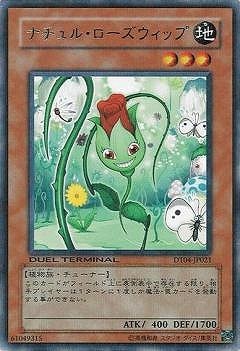 ��6��/DT04-JP021���ʥ���롦�����������åס�R