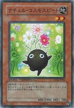 6/DT04-JP022ʥ롦⥹ӡ