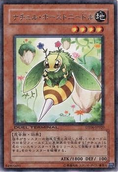 ��6��/DT06-JP020���ʥ���롦�ۡ����ȥˡ��ɥ롡R