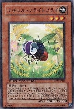 ��6��/DT06-JP021���ʥ���롦�ե饤�ȥե饤