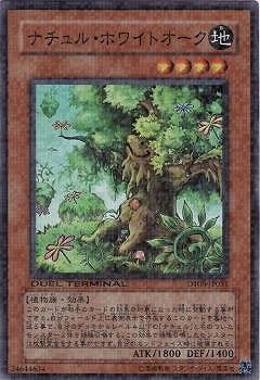 ��6��/DT08-JP031���ʥ���롦�ۥ磻�ȥ������ڥ����ѡ��쥢��