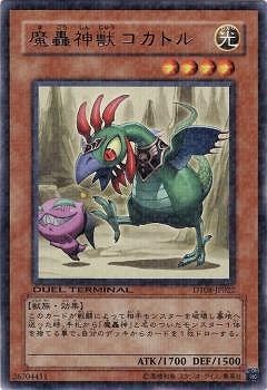 6/DT08-JP022åȥ롡R