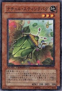 6/DT08-JP028ʥ롦ƥ󥯥Х