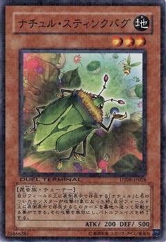 ��6��/DT08-JP028���ʥ���롦���ƥ��󥯥Х�