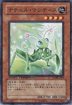 6/DT08-JP029ʥ롦ޥƥ